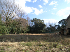 伊豆急城ヶ崎地区 伊豆急城ヶ崎地区の写真