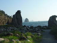 浮島 浮島の写真
