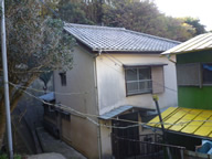 須崎 須崎の写真