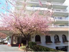 紅葉ガ丘ガーデンハイツの写真