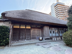 泉の写真