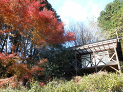 伊豆エメラルドタウン(韮山町)の写真