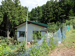 伊豆エメラルドタウン(韮山町)の写真