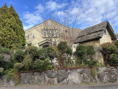 大室高原別荘地(シャボテン)の写真