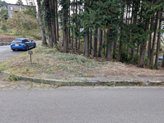 南箱根ダイヤランドの写真