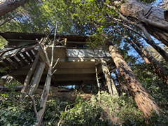 南箱根ダイヤランドの写真